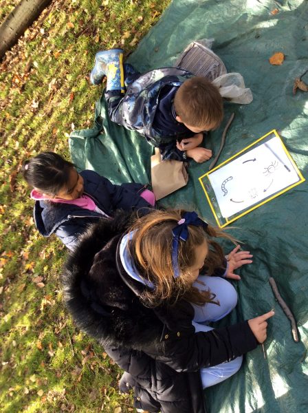 Y2.ForestSchools2.031125